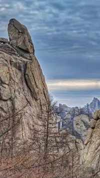 嶗山修仙回來，腿還是自己的～附門票攻略