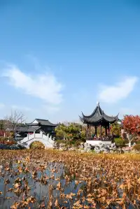 亭林公園楓葉紅透啦