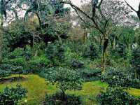 Hanoi’s Urban Oases: A Guide to the Best City Parks