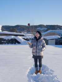 我應該這輩子都無法忘記漠河的冬天了