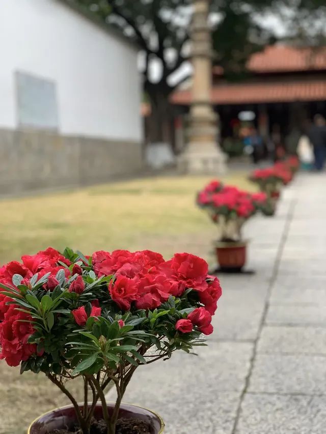 承包一整年好運人少景美超靈驗泉州寺廟