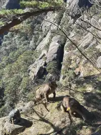 女大爬黃山 不住宿版路線