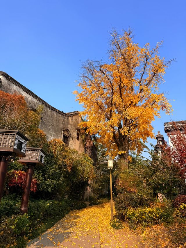 南潯古鎮遊玩攻略|0元get真江南 南潯古鎮遊玩攻略|0元get真江南