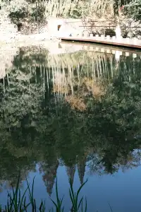 11月末的莫干山 我遇見了最治癒的深秋