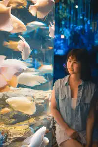 長隆飛船樂園跟拍太絕了每張都像電影