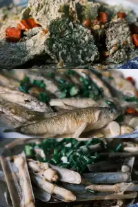 只因國清寺,去了一趟台州!(不自駕交通)