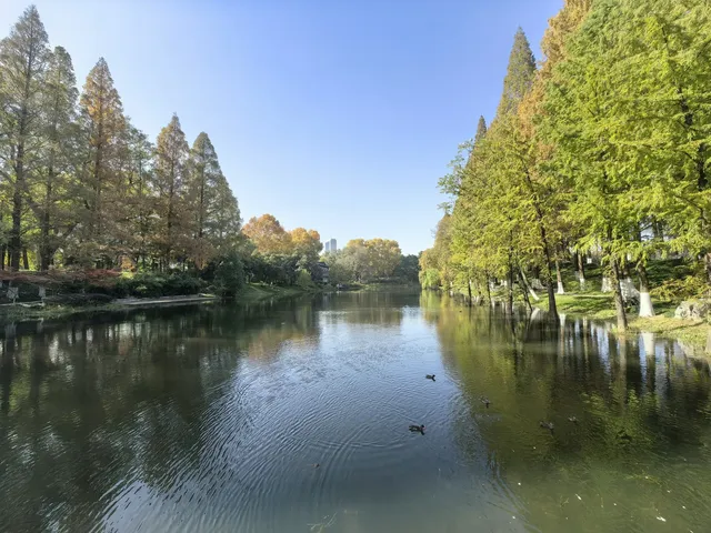 #南京5天#休閒之旅 上篇 #南京5天#休閒之旅 上篇