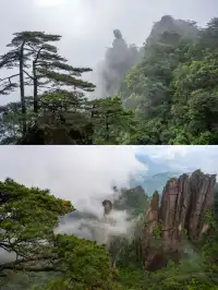 江西秋日3日漫遊！仙山古村瓷都承包所有浪漫