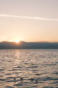 攝影師私藏龍龕碼頭日出 避坑+出片密碼