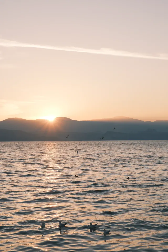 攝影師私藏龍龕碼頭日出 避坑+出片密碼 攝影師私藏龍龕碼頭日出 避坑+出片密碼