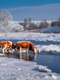 呼倫貝爾-興安盟冬天帶娃遊超全指南