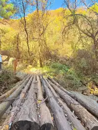 西安遛娃爬山推薦-藍田蓮花山人少不累