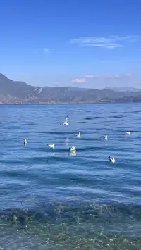 滬滸湖 你美！來瀘滸湖真的不用做太多攻略