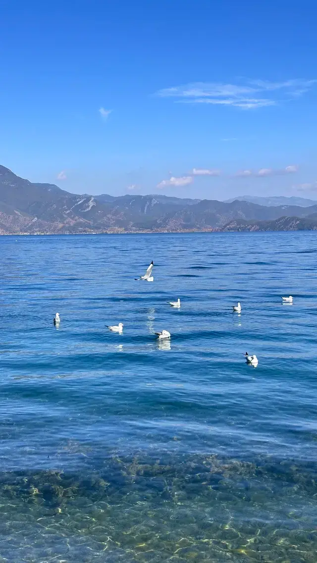 滬滸湖 你美！來瀘滸湖真的不用做太多攻略