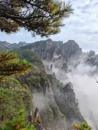 蕪湖黃山四日遊