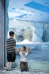 拍半小時!加修了幾百!原因太好看