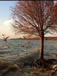 日落是溫柔，浪漫是和你一起看過的瞬間