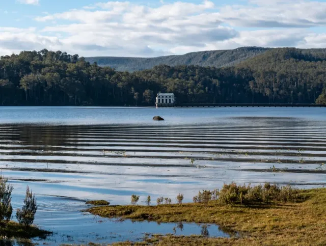 什麼!原來塔斯馬尼亞的鴨嘴獸都在這!! 什麼!原來塔斯馬尼亞的鴨嘴獸都在這!!