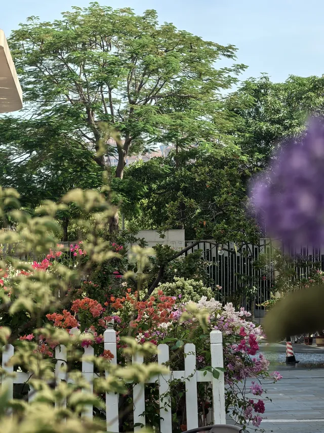 泉州|悄悄分享一個沒有人知道的絕美角落 泉州|悄悄分享一個沒有人知道的絕美角落