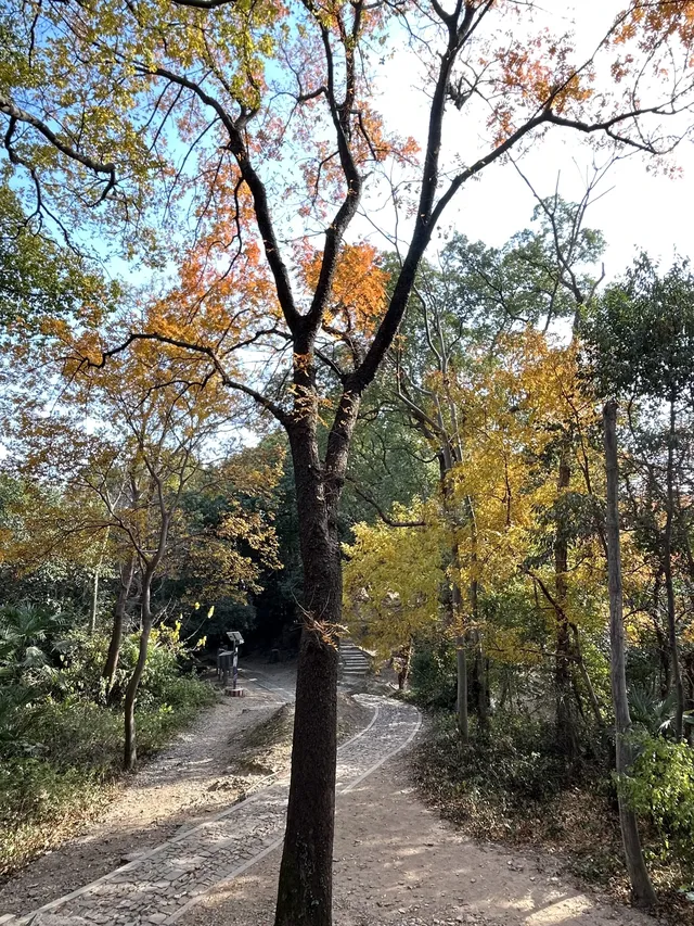 12.4西溪谷漫遊道5km徒步|路線+出片點+tips 12.4西溪谷漫遊道5km徒步|路線+出片點+tips