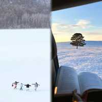 呼倫貝爾冬日自駕｜從海拉爾到阿爾山的冰雪童話之旅