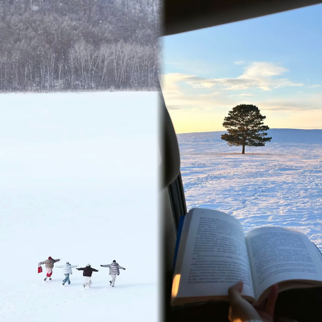 呼倫貝爾冬日自駕｜從海拉爾到阿爾山的冰雪童話之旅