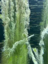 湖北新生旅遊年卡武漢植物園全攻略