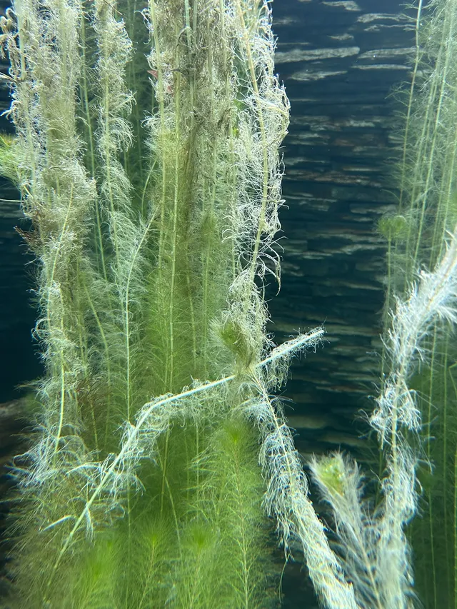 湖北新生旅遊年卡武漢植物園全攻略