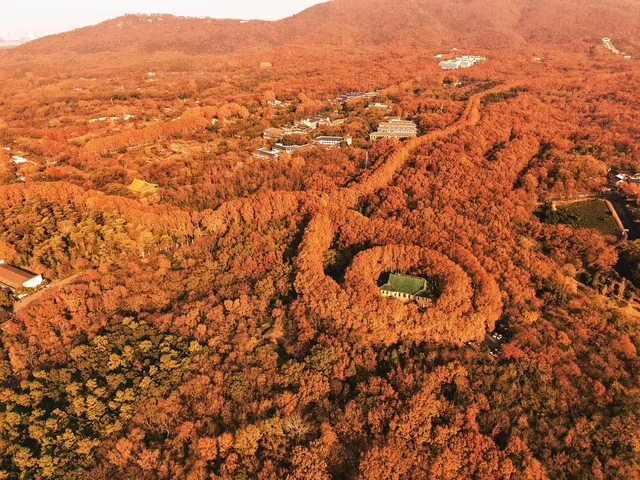 中山陵拍照機位 中山陵拍照機位