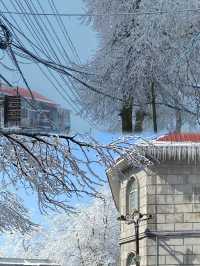 南國雪鄉美到窒息!廬山2天1晚看雪攻略