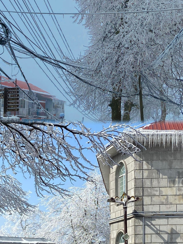 南國雪鄉美到窒息!廬山2天1晚看雪攻略 南國雪鄉美到窒息!廬山2天1晚看雪攻略