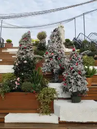 薈聚把北歐雪國搬到魔都,12月份活動攻略