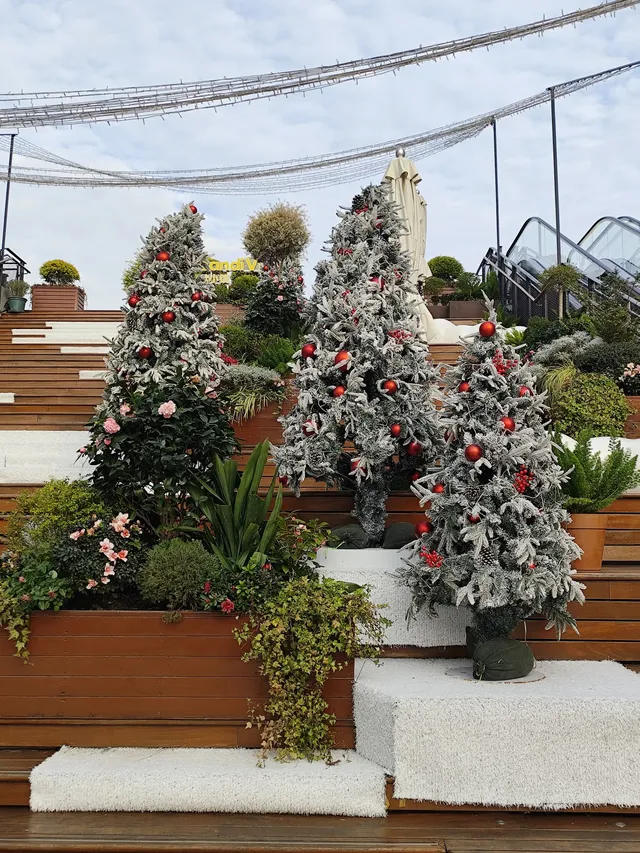 薈聚把北歐雪國搬到魔都,12月份活動攻略 薈聚把北歐雪國搬到魔都,12月份活動攻略