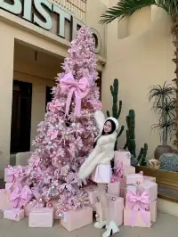 抓住長春的粉色聖誕樹啦 