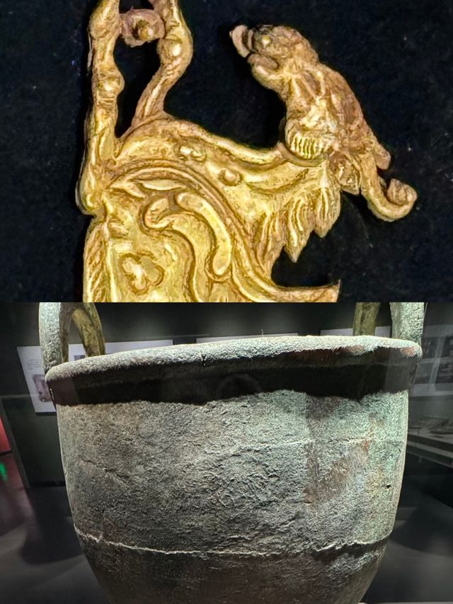 阿勒泰市博物館:揭開新疆的神秘面紗 阿勒泰市博物館:揭開新疆的神秘面紗