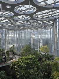 Нет, это не Сингапур! Шанхай сделал лучше!