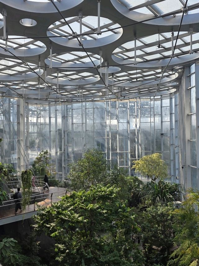 Нет, это не Сингапур! Шанхай сделал лучше! Нет, это не Сингапур! Шанхай сделал лучше!