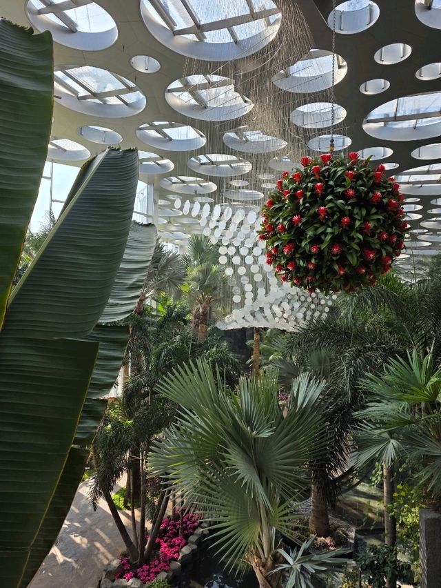 Shanghai Greenhouse Garden – всё, что нужно знать Shanghai Greenhouse Garden – всё, что нужно знать