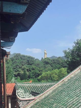 漳州の隠れた禅の旅スポット｜三平寺のゆったり癒しガイド