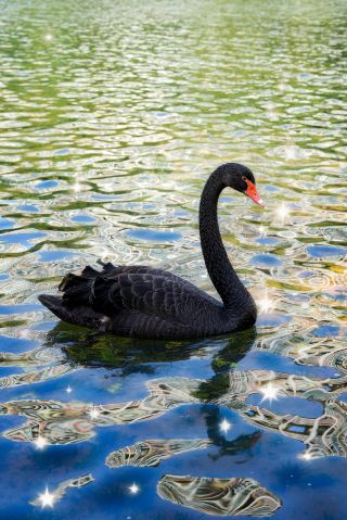 불산의 절경 공원｜3km 호수 둘레길을 거닐다 보면 한 걸음 한 걸음이 그림 같다