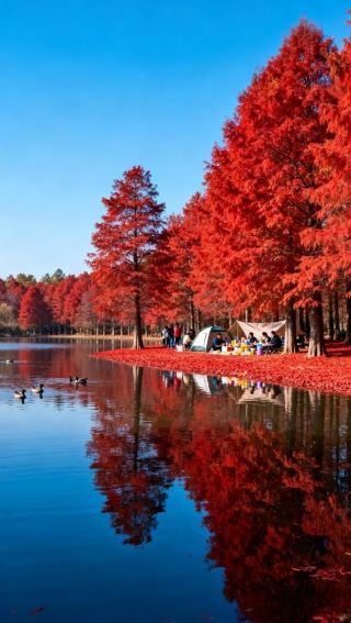 Datong Lake Autumn and Winter Travel Guide: Plump Crabs and Beautiful Scenery – Weld the Lake Scenery and Delicious Flavors into Your Journey