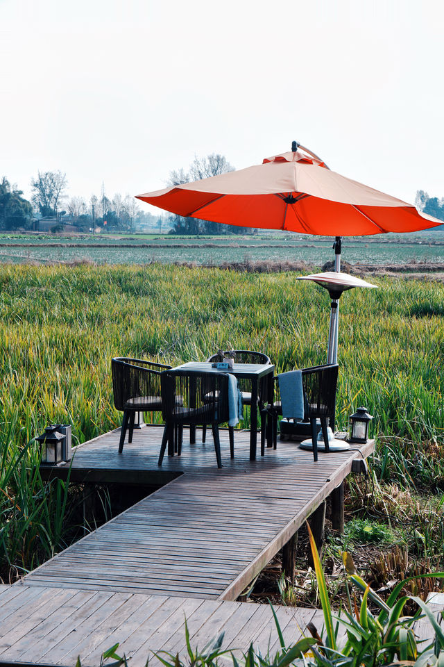 成都周邊1h冬日泡湯+麥田下午茶🫖