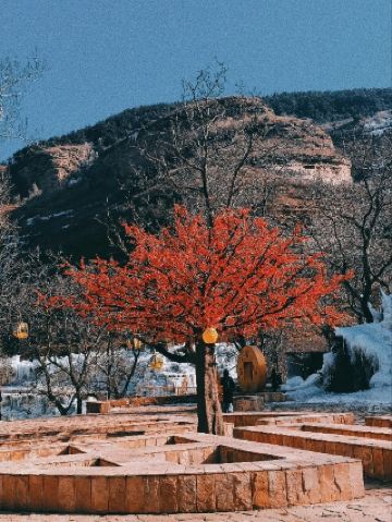 อุทยานป่าฮวางหยางตง: ความงามทางธรรมชาติที่ซ่อนเร้นและสถานที่พักผ่อนอันเงียบสงบ