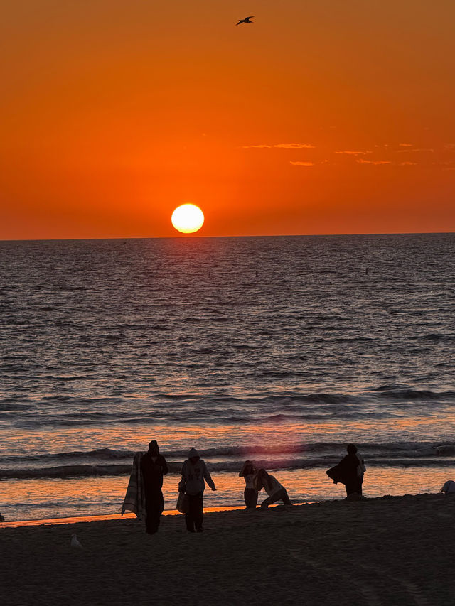 Santa Monica ๐๏ธ Who can resist a California sunset? ๐๏ธ