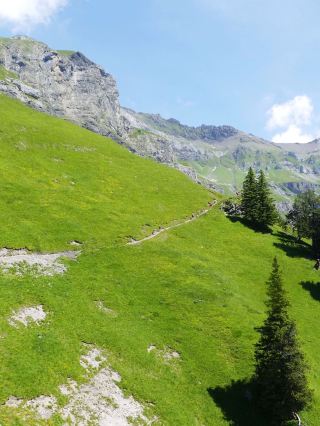 Flying to the UK during Qingming is truly a winning trip