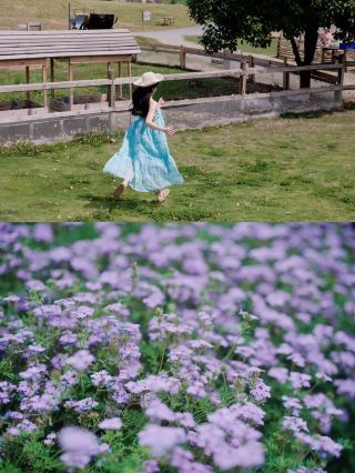 Great place to take the kids during the May Day holiday, come to Konggang Flower Field!