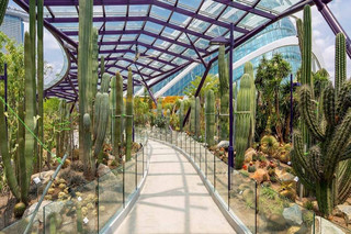 A Hidden Gem for Plant Lovers: Sun Pavilion at Gardens by the Bay