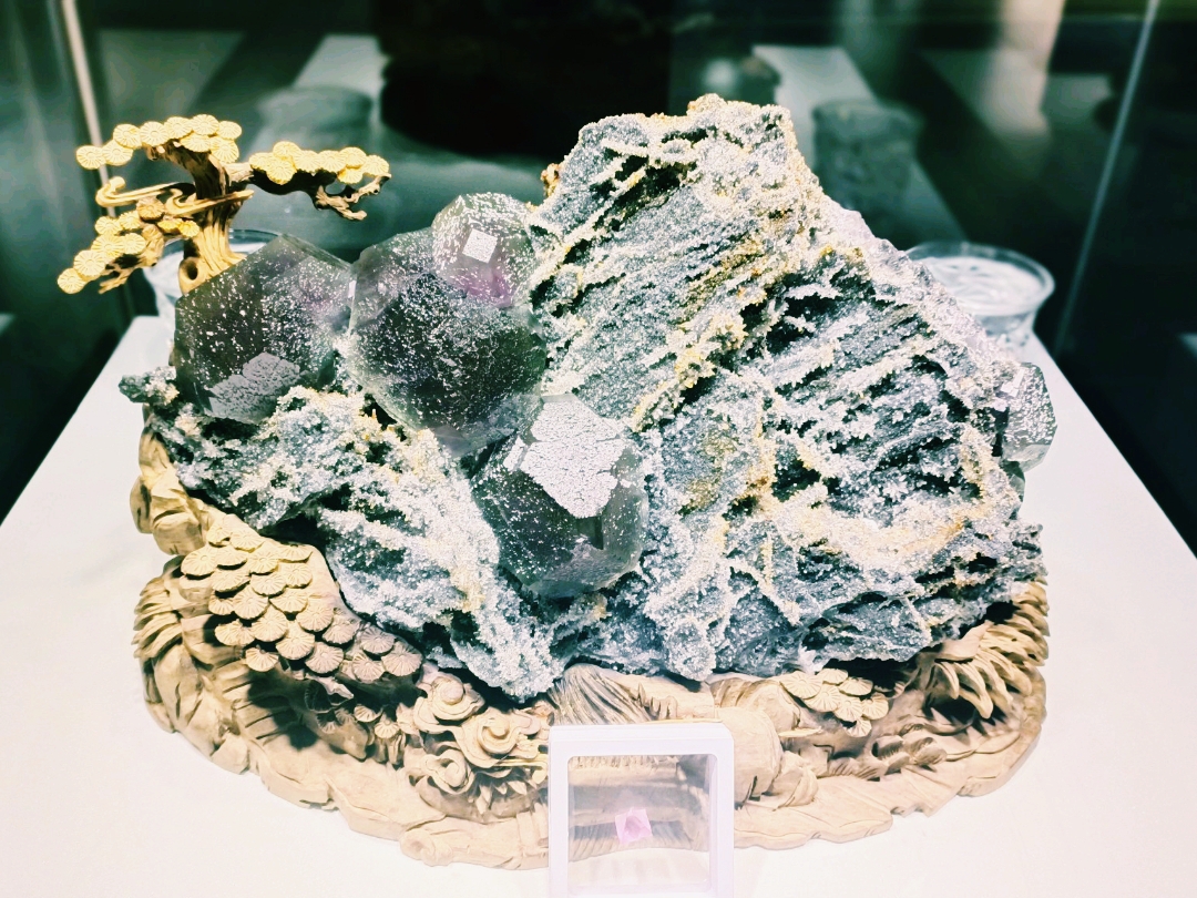 🪨✨ Hidden Gem in Langzhong: The Geological Exhibition Hall You’d Never Find on a Guidebook ✨🪨