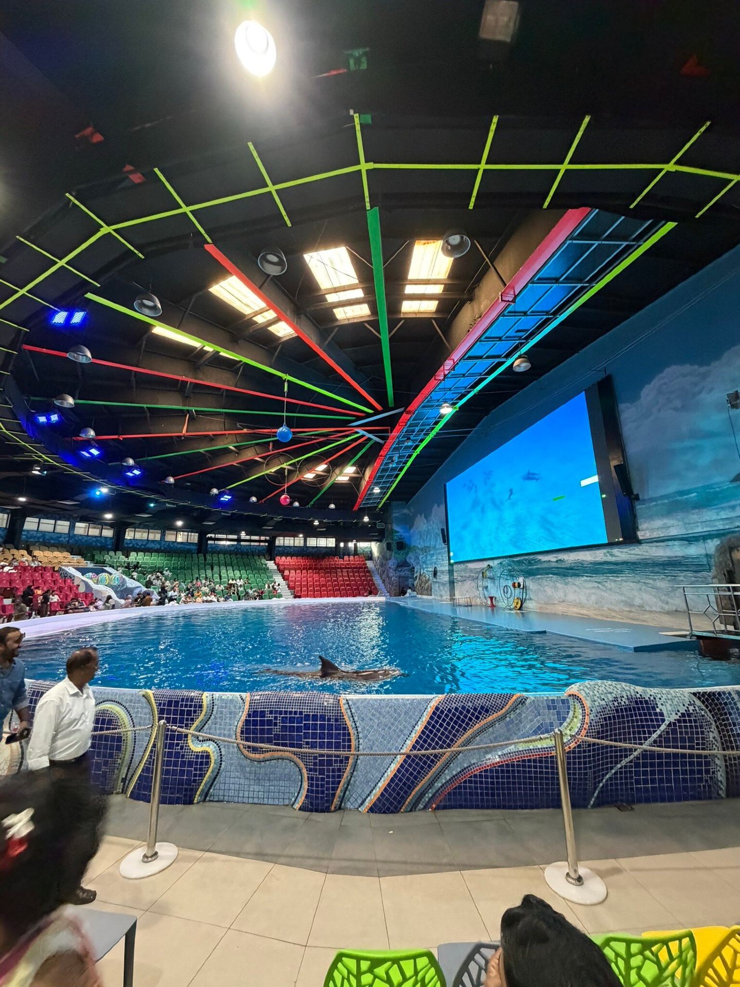 A Fun and Family-Friendly Dolphin Show Experience