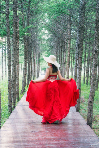 Summer healing at Bashang colorful forest｜live in a forest fairy tale  Tired of the city’s heat and restlessness? You must visit Fengning colorful forest! Here hides